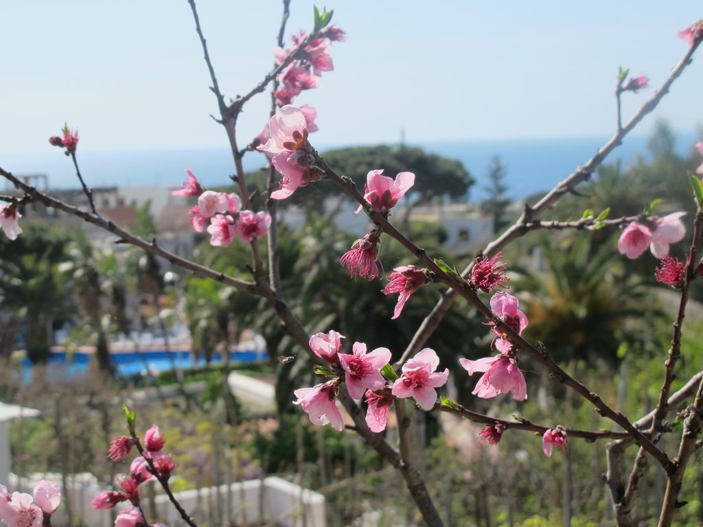 Aparthotel Villa Marinu Forio di Ischia Exterior foto