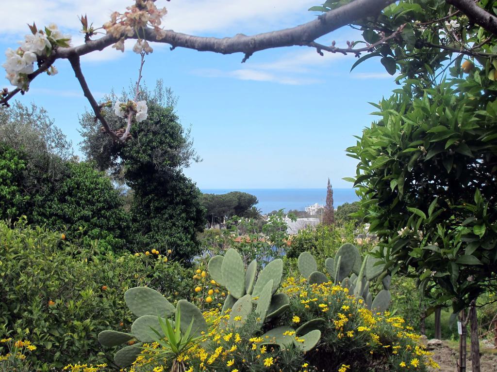 Aparthotel Villa Marinu Forio di Ischia Exterior foto